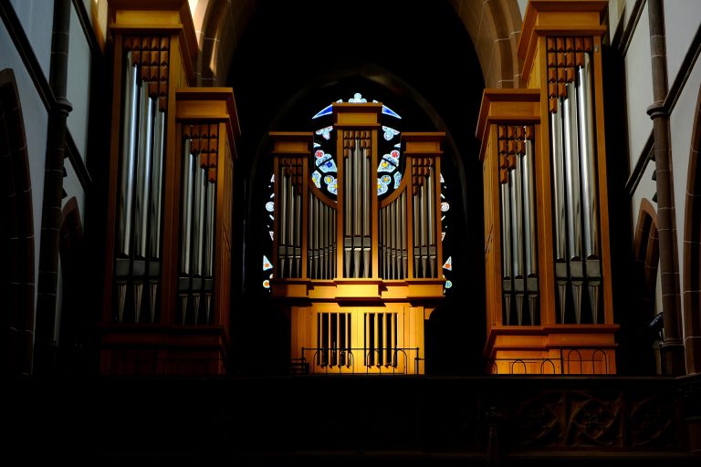 orgel kopen